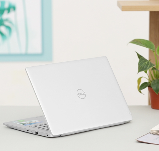 Dell Inspiron 5490 i5-10210U/8G/256G/MX250/FHD